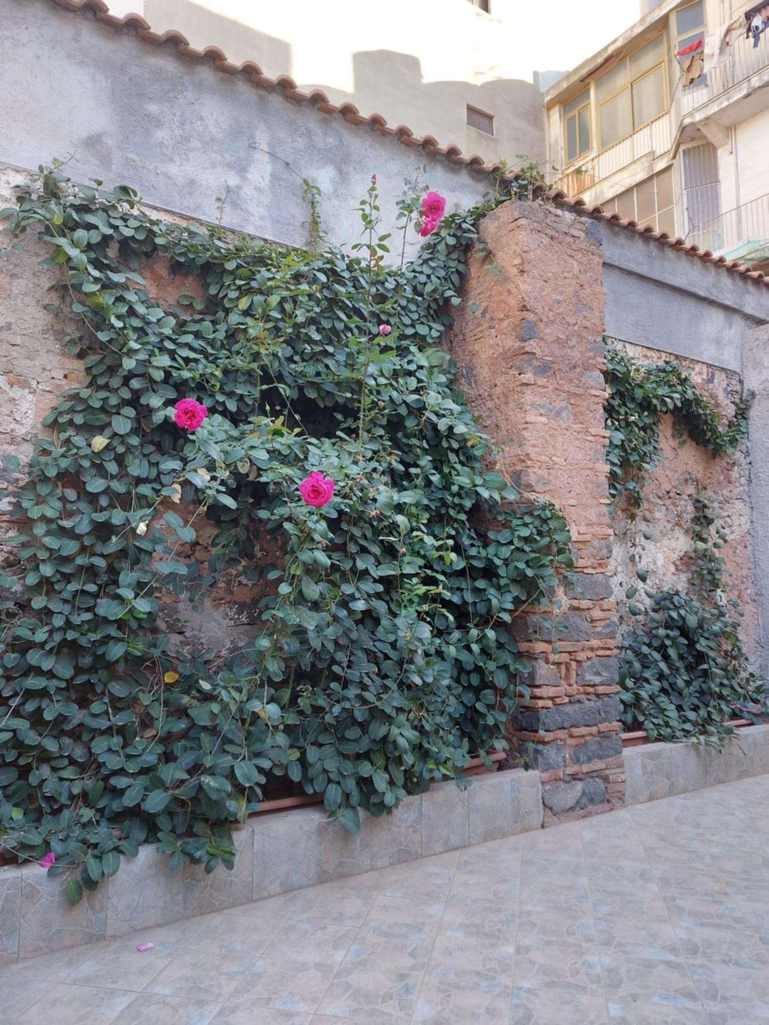 Hébergement de vacances La Casina Di Lu Catane